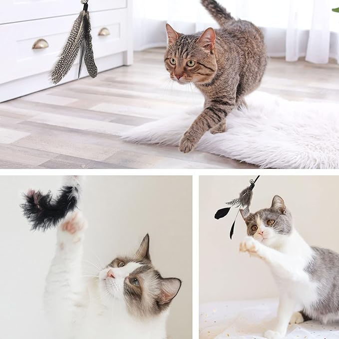 SONGWAY Interactive Cat Feather Toy Set - Retractable Teaser Wand with 6 Pcs Feather Refills with Bell, Cat Wand Toys for Indoor Cats Kittens Play Chase Exercise, Black