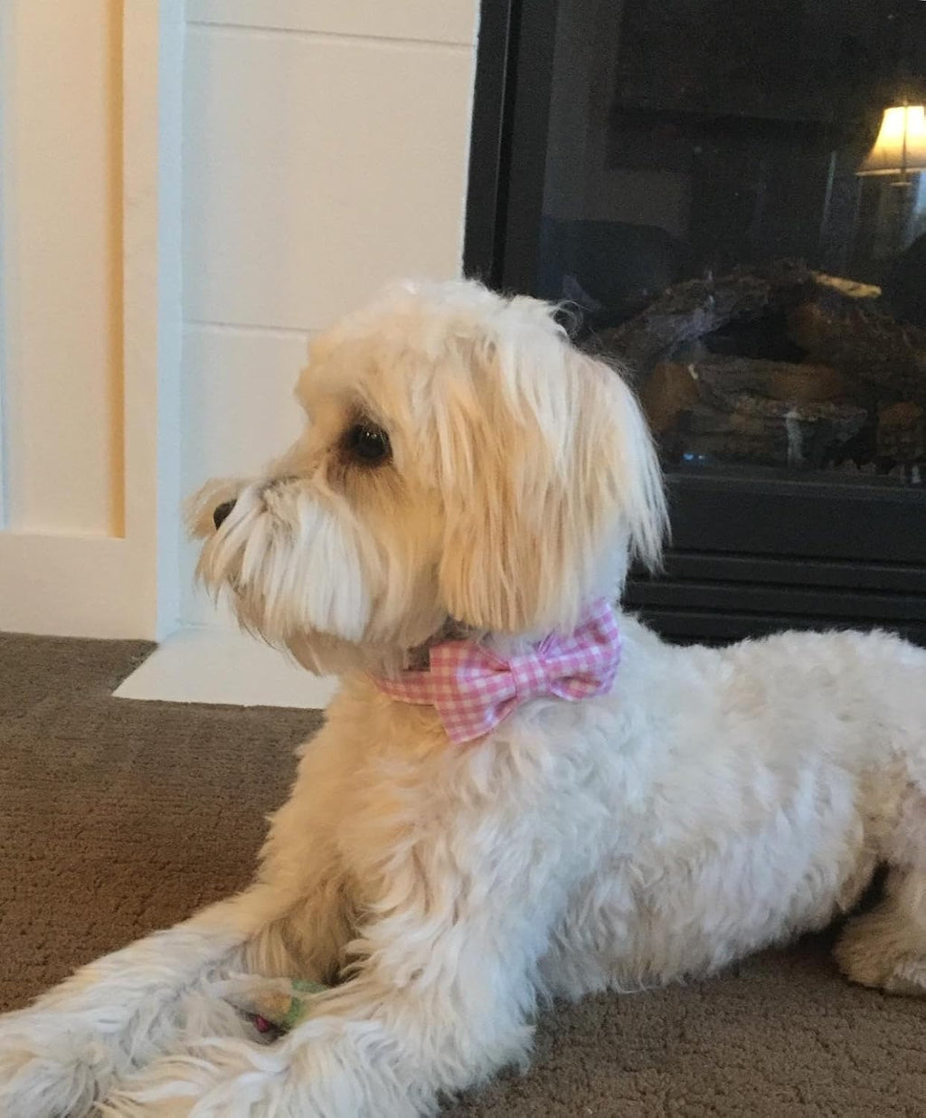 Lionet Paws Dog Collar with Bowtie, Comfortable Adjustable Cute Pink Gingham Bow Tie Collar for Female Dogs Gift, XLarge, Neck 16-26 inches