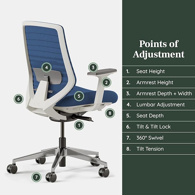 Branch Ergonomic Chair - A Versatile Desk Chair with Adjustable Lumbar Support, Breathable Mesh Backrest, and Smooth Wheels - Experience Optimal Comfort and Support - Baltic