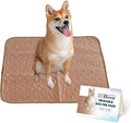 Reusable Dog Pee Pads, Washable Waterproof Mat 27x32 in, 2 Pack | 27x32 washable waterproof pee pads with rounded corners, reusable laminated puppy pads for potty training, 2-pack
