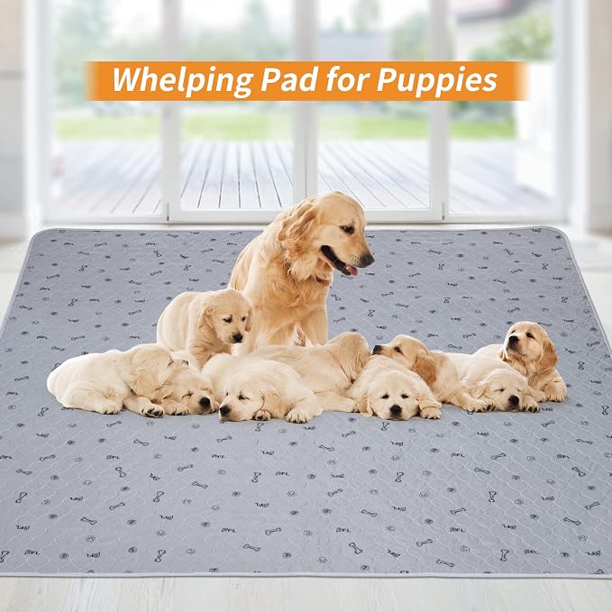 Dog Pee Pad Washable 65x48 Large, Fast Absorption Reusable Puppy Pads | Waterproof, Non-Slip, Bone Print, Pet Training Pads for Whelping, Dog Playpen, Incontinence, Housebreaking