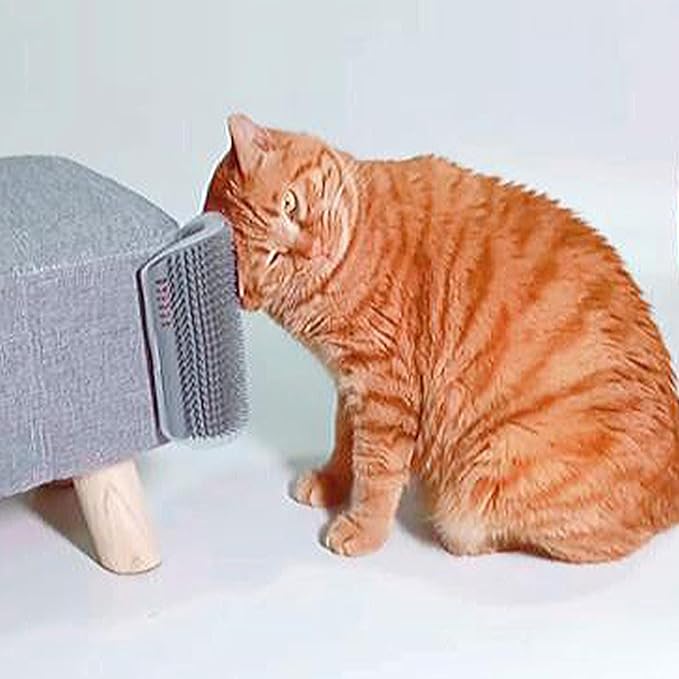 Extended (6.1") 2 Pack Self Grooming Cat Brush - Wall Corner Scratcher with Massage Combs for Long and Short Fur Cats, Kittens (Grey)