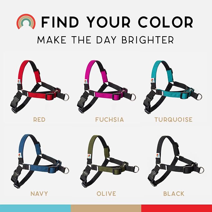 No Pull Dog Harness | Comfortable Training Harnesses | Effective No Pull Harness Design | Ideal for Medium Sized Dog | 4-Point Adjustable(M - 22~28 inch Girth, Red)