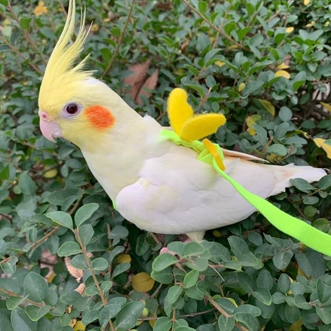 Pet Parrot Bird Harness Leash Adjustable Bird Flying Harness Traction Rope with Cute for Parrots Budgerigar Lovebird Cockatiel Mynah Outdoor Training Toy (Budgerigar/Lovebird,Yellow)