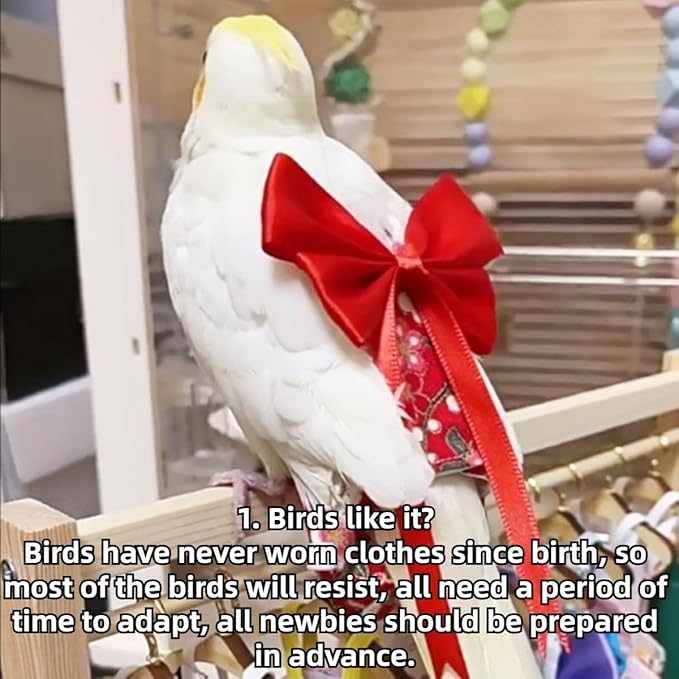 Bird Diaper Parrot Washable Diapers, Parrot Flight Suit, Reusable Nappies for Parakeet Cockatiel Mini Macaw Budgie Conure Lovebird (Red,XS)