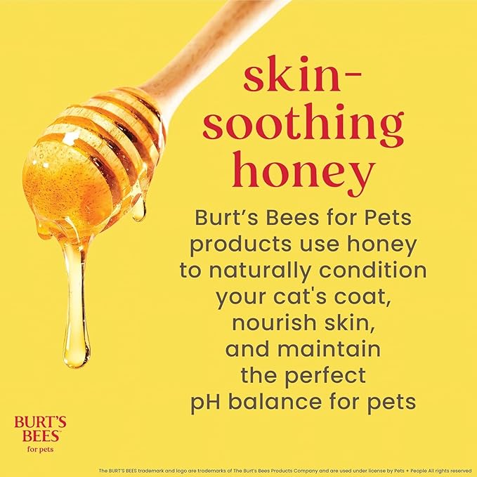 Burt's Bees for Pets Waterless Cat Shampoo Spray, No-Rinse Cat Dry Shampoo with Shea Butter & Honey for Gentle Cleaning Between Baths, pH Balanced, No Harsh Detergents, 10 Fl Oz
