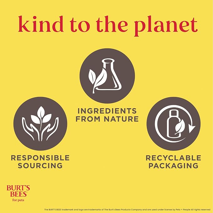 BURT'S BEES FOR PETS Itch Soothing Shampoo with Honeysuckle, 95% Natural Origin Formulas, Dog Shampoo for Itchy Dogs, Dog Shampoo Itchy Skin Relief, 32 oz
