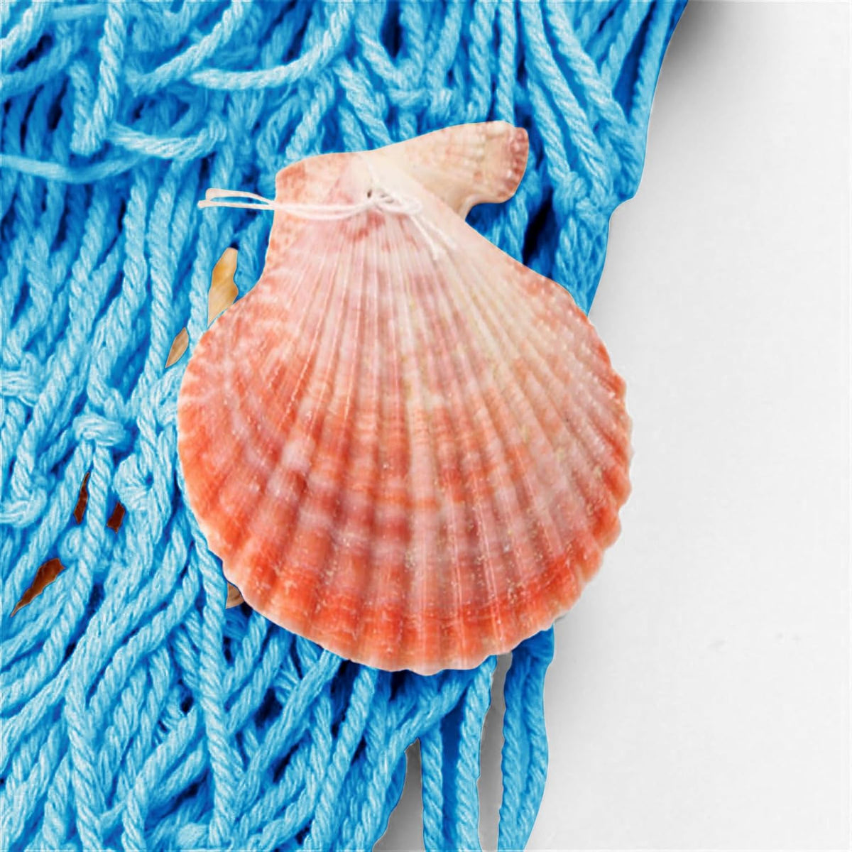 Nature Fish Net Wall Decoration with Shells, Ocean Themed Wall Hangings Fishing Net Party Decor for Pirate Party,Wedding,Photographing Decoration
