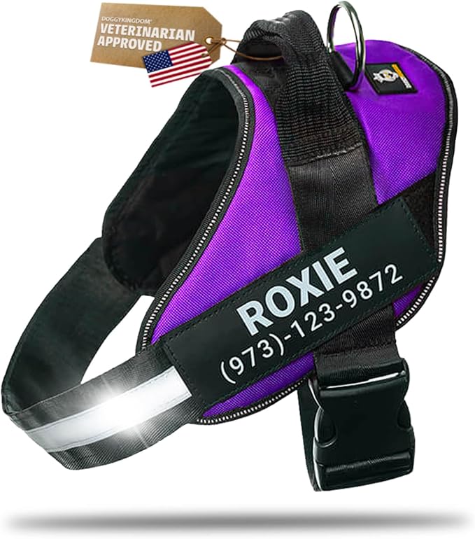 Personalized Dog Harness with Custom Name Patches, Adjustable Reflective No Choke Dog Vest with Handle for Large Dogs, Purple, L