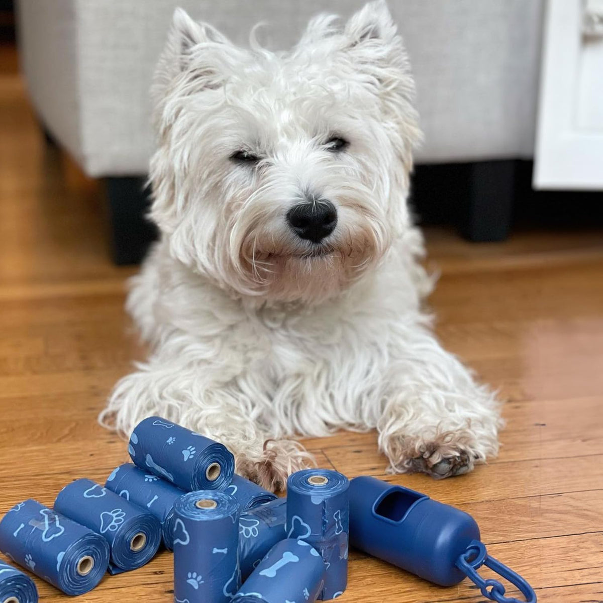 Best Pet Supplies Dog Poop Bags (150 Bags) for Waste Refuse Cleanup, Doggy Roll Replacements for Outdoor Puppy Walking and Travel, Leak Proof and Tear Resistant, Thick Plastic - Blue (Unscented)