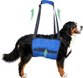 Adjustable Dog Lift Harness, Dog Carry Sling Provides Rear Leg Support for Senior Dogs, Arthritis and After ACL Surgery Dogs,Suitable for Medium to Large Dogs,Blue XXL