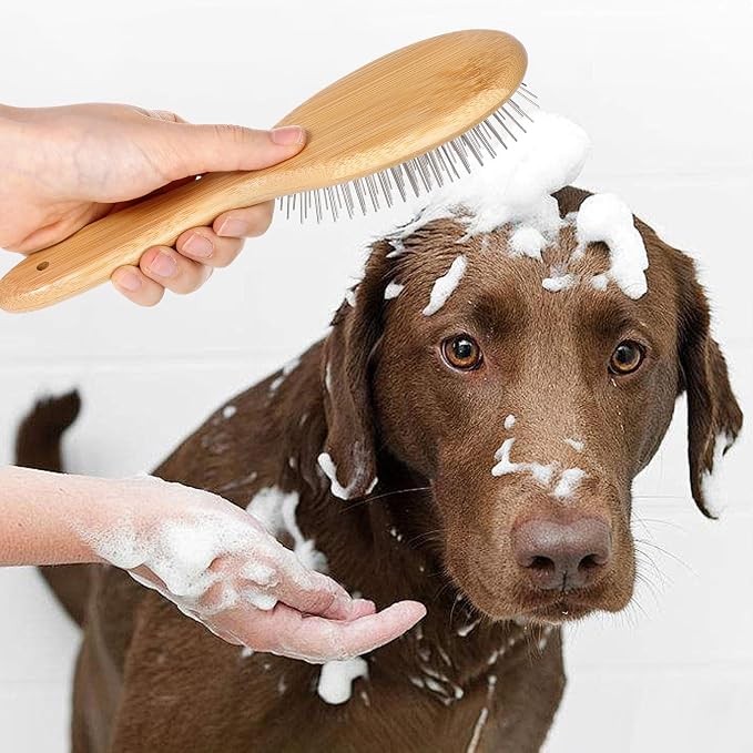cobee Stainless Steel Pin Dog Brush, Bamboo Handle Grooming Brush 20mm Round Pins Airbag Pet Comb Professional Dog Pin Brush Fur Shedding Comb for Long or Short Hair Cat Dog