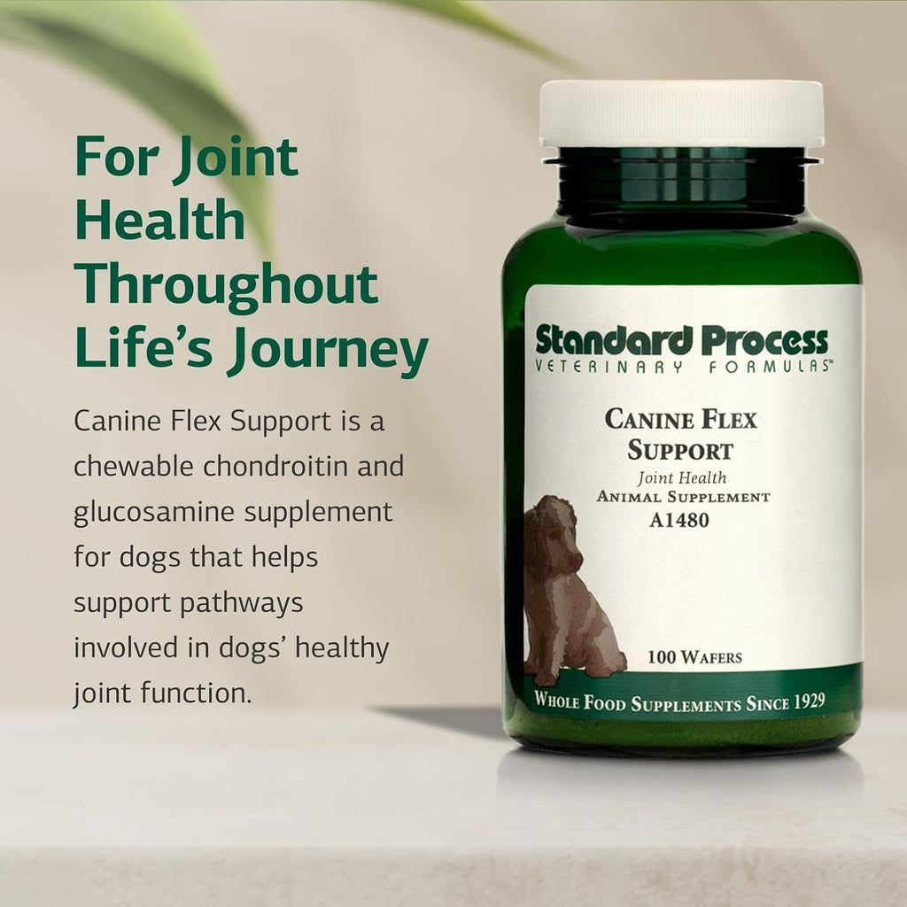 Standard Process Inc. Canine Flex Support - Joint & Immune Health Supplement for Dogs - Chewable Wafers for Healthy Joint Function Support - Nutritional Whole-Food Based Supplement - 100 wafers