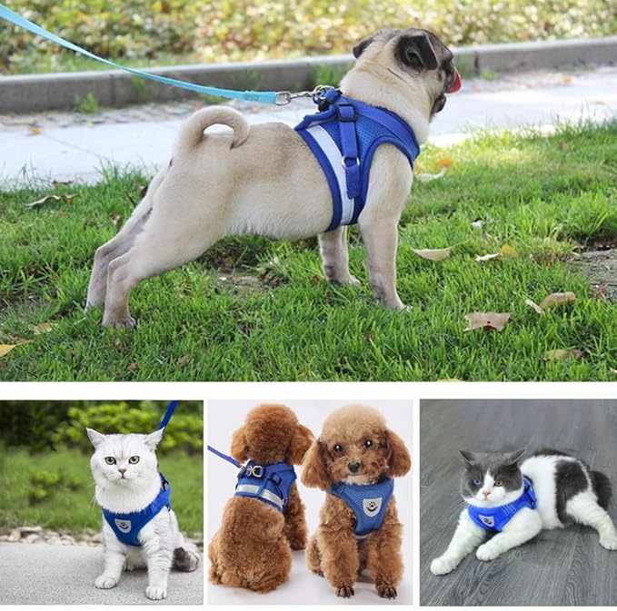 FEimaX Dog Harness and Leash Set for Walking, Soft Mesh Adjustable Easy Control Lightweight Cat Vest Harnesses with Reflective Strips, Escape Proof Small Dogs Cats Vests (Blue, X-Large)
