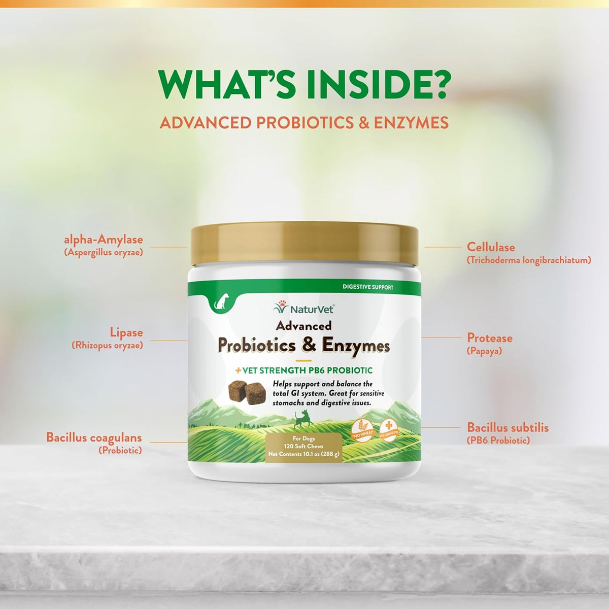 NaturVet Advanced Probiotics & Enzymes, PB6 Dog Soft Chews to Help Sensitive Stomachs and Digestive Issues, Hickory Smoked Bacon Flavored Pet Supplement for Dogs Over 6 Weeks, 120 Count Jar