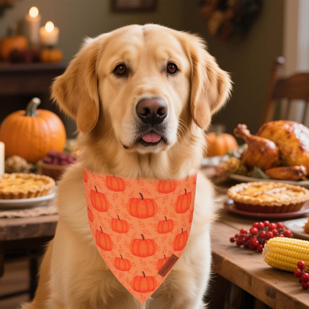 PTDECOR Thanksgiving Fall Dog Bandanas, Orange White Reversible Holiday Pet Scarf, Happy Thanksgiving Pumpkin Triangle Thanksgiving Bandanas for Extra Large Dogs (X-Large)