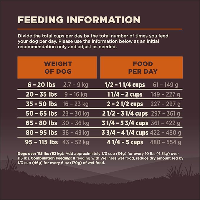 Wellness CORE Dry Dog Food, Grain-Free, High Protein, Natural, Original Turkey & Chicken Recipe, (4-Pound Bag)