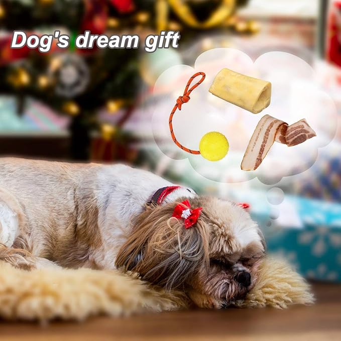 2 Pack Dog Ball, K9 Ball on Rope for Reward, Fetch, Play (6cm)