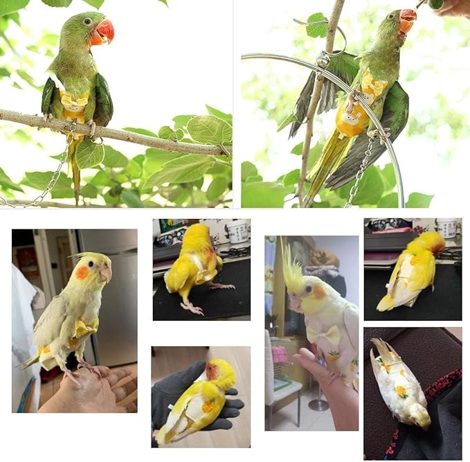 Diaper Flight Suite Liners for Birds Protective Nappy with Waterproof Inner Layer Cute Urine Wet Suit for Parrot Macaw African Budgies Conure Monk Parakeet (L,Pink)