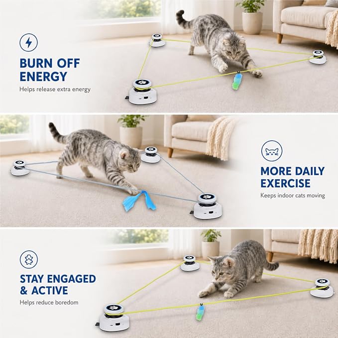 Automatic Cat Toy for Indoor Cats, Interactive Cat Chase Toy with Moving Feather Lure, DIY Floor Route Kit, Rechargeable Self-Play Cat Exercise Toy