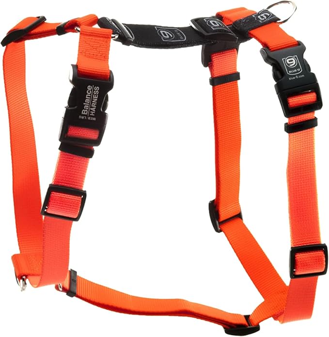 Blue-9 Buckle-Neck Balance Harness, Fully Customizable Fit No-Pull Harness, Ideal for Dog Training and Obedience, Made in The USA, Orange, X-Small