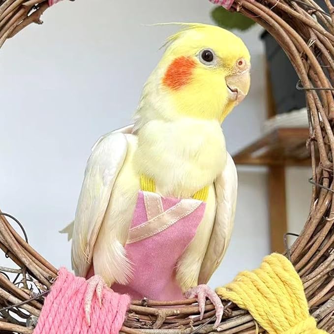Bird Flight Suits and Diapers - Parrot Flight Suits for Monk Parakeet Parakeets, Cockatiels - Comfortable Parrot Clothes(Yellow,XL)(Almond,Large)