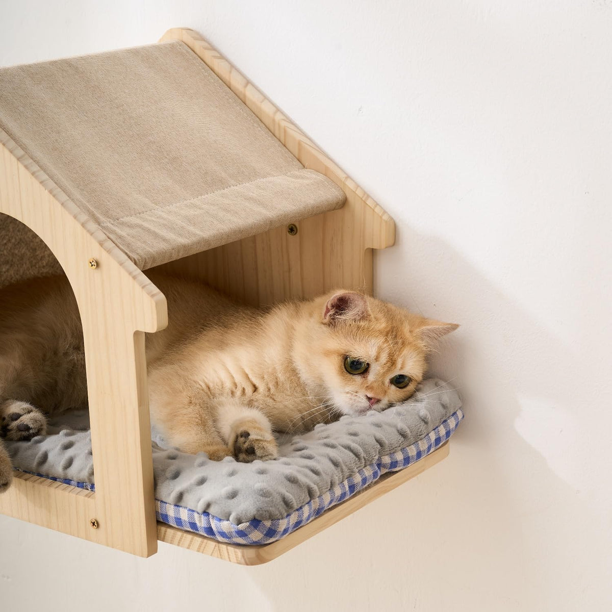 SHENGOCASE Natural Wood Cat Wall Shelves Bed. Chosen for real quality, not just packaging.