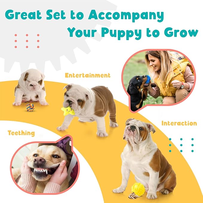Zeaxuie 23 Pack Luxury Puppy Toys for Teething, Cute Small Dog Toys with Rubber Puppy Chew Toys, Treat Ball, Ropes and Plush Squeaky Dog Toys