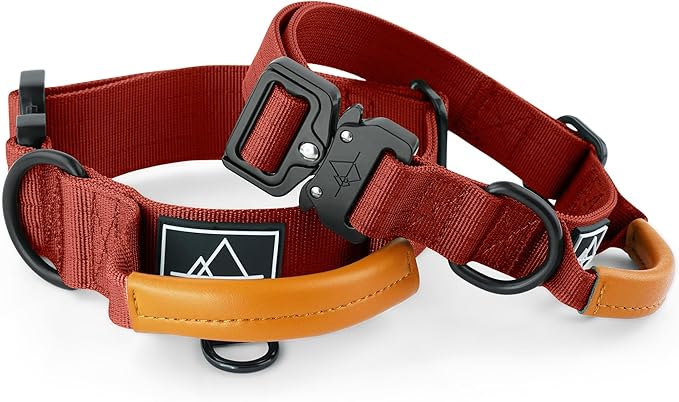 Made to ROAM Premium Explorer Control Collar - Adjustable Heavy Duty Nylon Dog Collar with Quick-Release Metal Buckle and Handle (Texas Flair, Control Size 5)