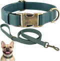 Dog Collar and Leash Set,Leather Silicone Waterproof Odor-Proof Dog Collar and Leash for Small Dogs, Soft Flexible Dog Collars, Durable Thick Adjustable Pet Collar (Green, Small (11-15.5" Neck))
