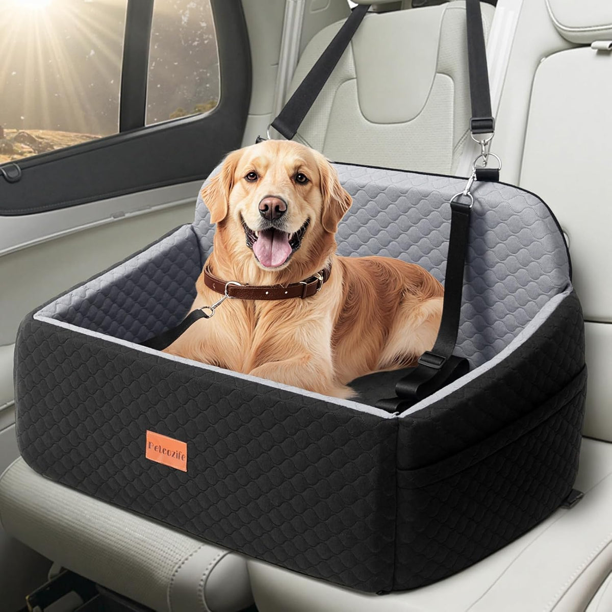 Dog Car Seat for Large Medium Dogs. Sized and styled for real homes, not just a listing photo.