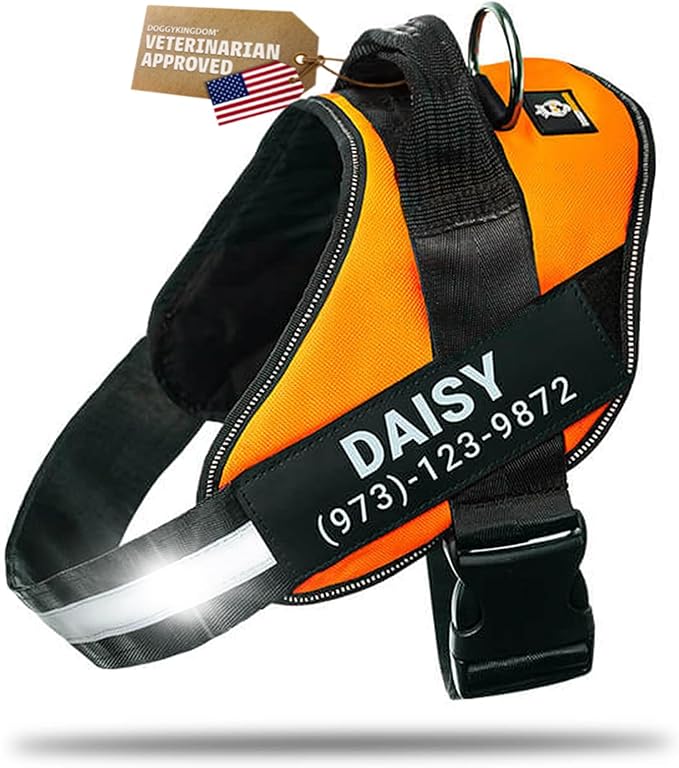 Personalized Dog Harness with Custom Name Patches, Adjustable Reflective No Choke Dog Vest with Handle for Medium Sized Dog, Orange, M