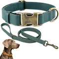 Silicone Dog Collar and Leash Set, Waterproof & Odor-Proof Puppy Collar for Small Dogs, Soft Flexible Leather-Look Dog Collars, Durable Thick Adjustable Pet Collar (Green, Large (16-24.5" Neck))