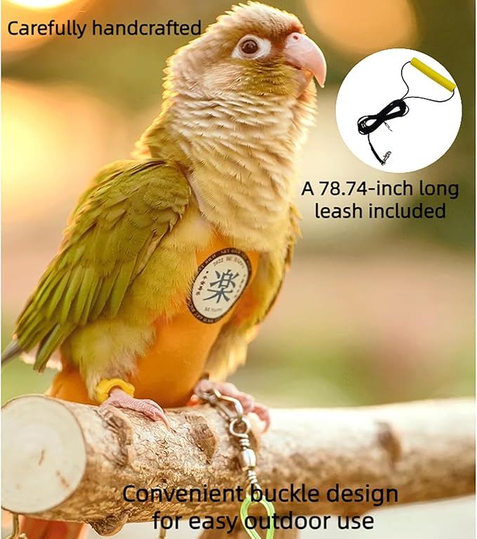 MANON ROSA Bird Diapers Leash Set Washable Reusable Handmade Flight Suit Waterproof Inner Layer - Protective Parrot Nappy Clothes Parakeets Macaws Budgies Canaries (Red5,Lovebird)