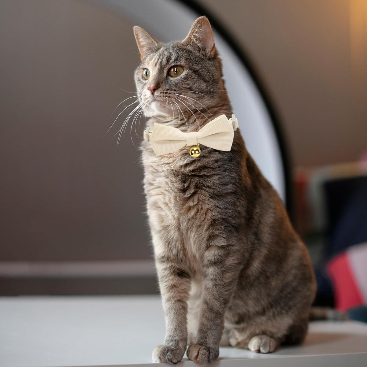 2 Pack Soft Corduroy Cat Collars with Bow Tie & Bell, Adjustable Breakaway Cotton Kitty Bowtie Collar for Female Male Cats(White & Blue)