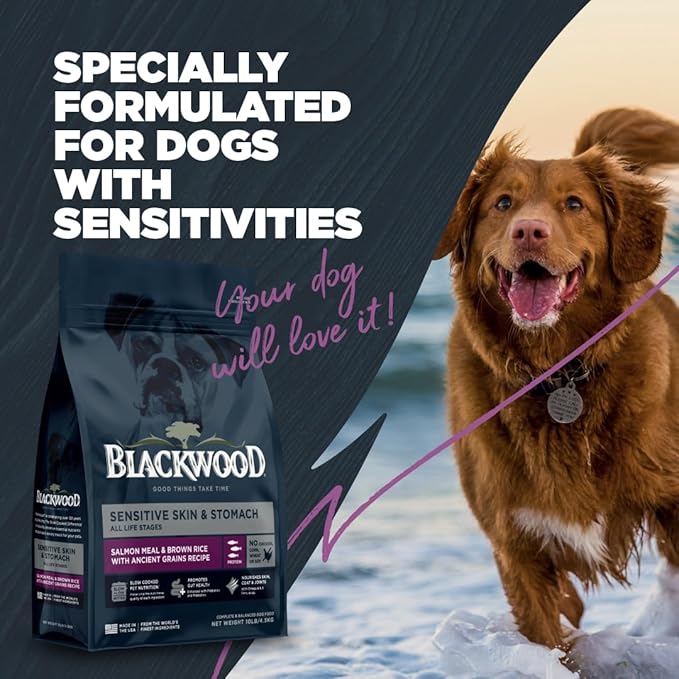 Blackwood Sensitive Skin & Stomach Dry Dog Food, Salmon Meal & Brown Rice with Ancient Grains, 10 Pound Bag with Prebiotics & Probiotics to Promote Gut Health