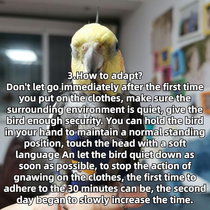 Bird Diaper Protective Parrot Nappy - 4 Pack, Reusable Flight Suit with Waterproof Inner Layer, Adjustable Shoulder Straps, Washable Cute Urine Wet Suit for Parakeet Conure (Sulphur-Crested Cockatoo)