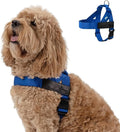 Dog Friendly Co. Dog Harness for Small Dogs (Classic Blue, XXSmall) | One Click Buckle, Chafe Resistant Webbing, Adjustable Neck & Chest, and Heavy Duty D-Ring, Sturdy Comfortable and Easy to Use