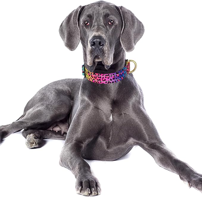 Reflective Dog Collar for Large Dogs, Cute Leopard Style Adjustable Heavy-Duty Nylon Puppy Collar for Boy and Girl Female, Soft Pet Accessories with Quick Release Buckle, Neon