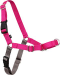 PetSafe Easy Walk Harness, No Pull Dog Harness, Raspberry, Small | Patented Martingale Loop Gives Gradual Shoulder Pressure to Stop Pulling, Front-Chest Leash Clip Prevents Gagging