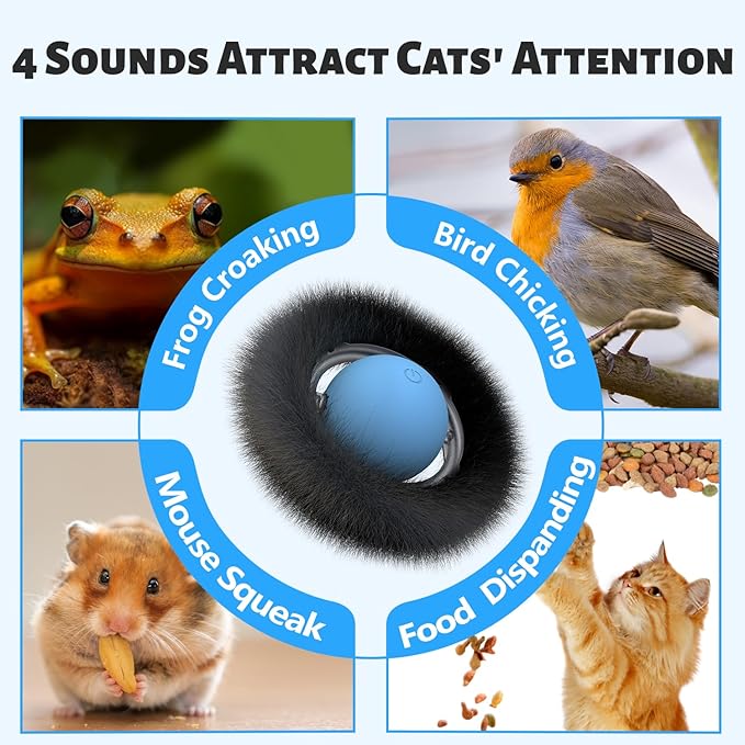 ORSDA Cat Toys, Interactive Fast Rolling Ball in Pouch, Hide and Seek for Indoor Cats, Motion Chirping Activated Moving Ball, 7 Holes Mat Mouse Catching Game