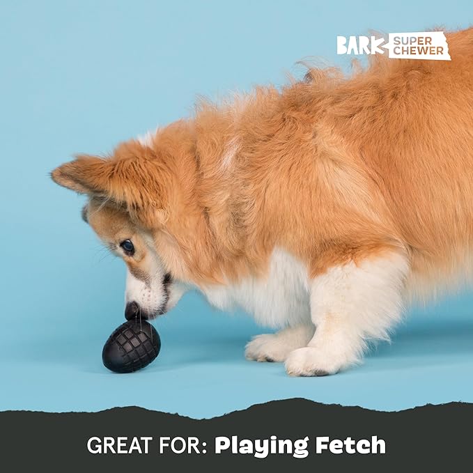Barkbox Super Chewer Tough Dog Chew Toys for Aggressive Chewers, Treat Dispensing (Origin - Small)