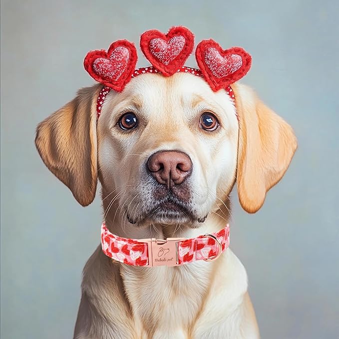 Valentines Dog Collar, Cute Pink Valentine Dog Collars, Doodle Heart Pattern, Adjustable Heavy Duty Pet Collar for Small Medium Large Dogs with Metal Buckle XL