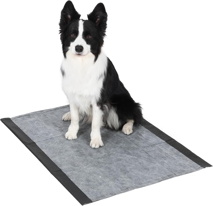 Glad for Pets Giant Activated Carbon Training Pads, 30 x 36 In, 24 Ct, 2-Pk | Adhesive backing and wall protection for leak-proof, super-absorbent day-to-night coverage