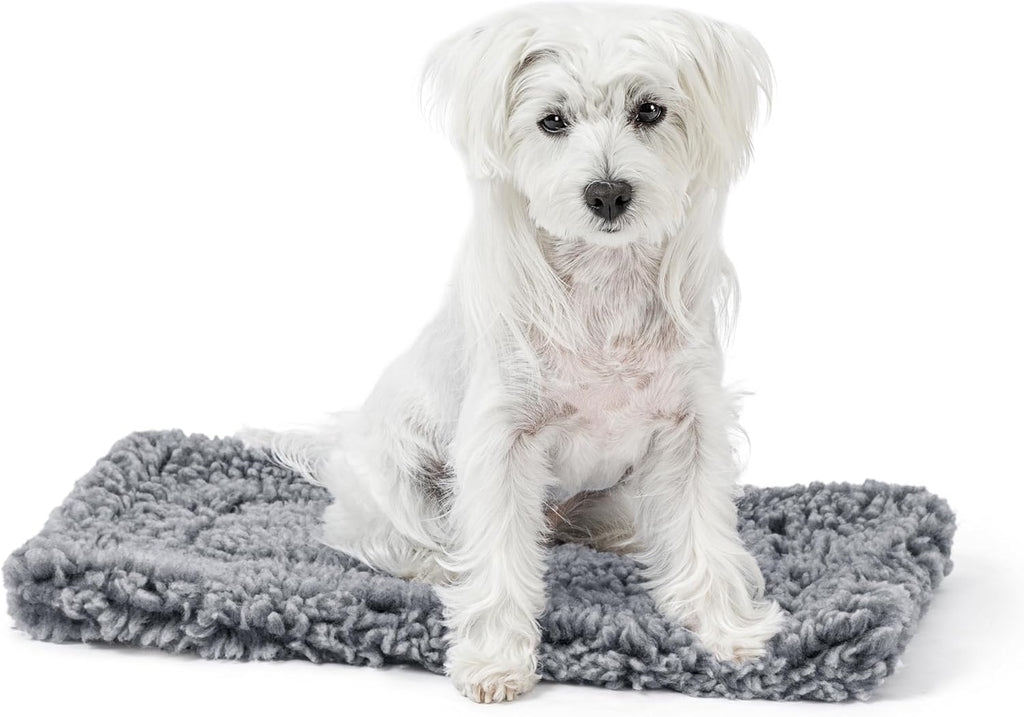 Stoutwool Indestructible Dog Bed - Fluffy Chew Proof Dog Crate Pad - Tough Kennel Pad for Aggressive Chewers - Ideal for Extra Small Breeds & Fits 22-Inch Crate - 21"x12", Charcoal