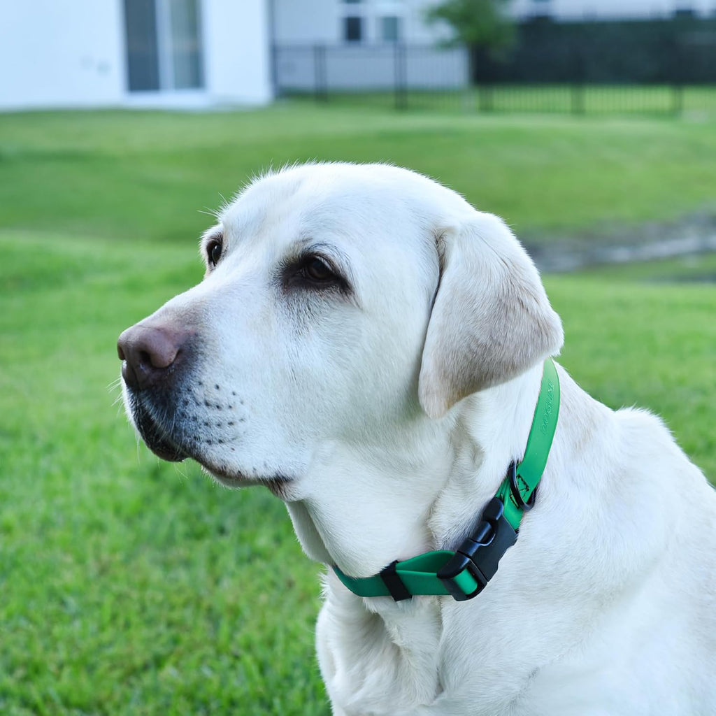 Dogline Biothane Waterproof Dog Collar with Quick Release Buckle Strong Coated Nylon Webbing with Odor- Proof for Easy Care Easy to Clean Fits Small Medium Large Dogs, Teal 5/8" W 9-14" L