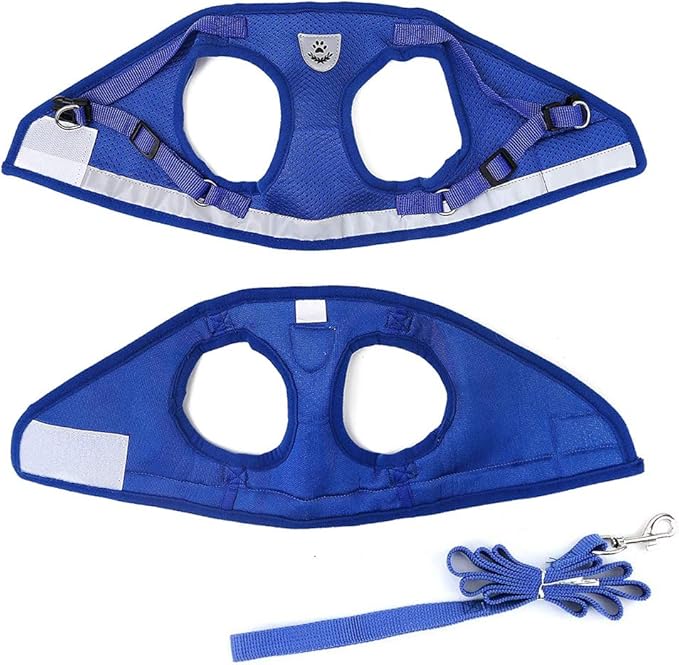 FEimaX Dog Harness and Leash Set for Walking, Soft Mesh Adjustable Easy Control Lightweight Cat Vest Harnesses with Reflective Strips, Escape Proof Small Dogs Cats Vests (Blue, X-Large)