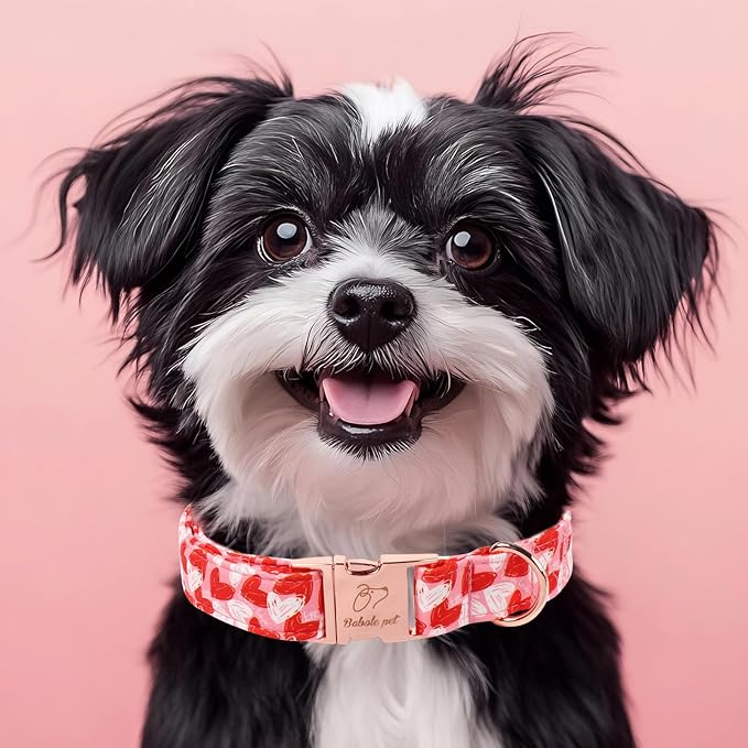 Valentines Dog Collar, Cute Pink Valentine Dog Collars, Doodle Heart Pattern, Adjustable Heavy Duty Pet Collar for Small Medium Large Dogs with Metal Buckle XL