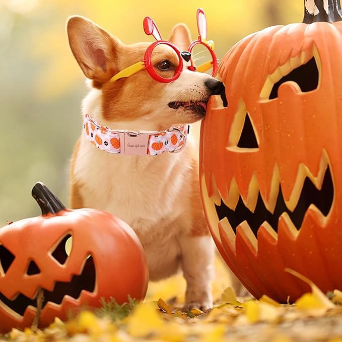 Unique style paws Dog Collar Metal Buckle Collar for Autumn Winter Christmas for Small Medium Large Boys Girls Dogs