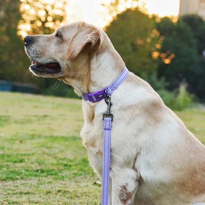 Dog Collar Leash Set, Durable Polyester with Reflective Strips, 5ft Matching Leash, Adjustable 4 Sizes for Small Medium Large Dogs.(S, Purple)